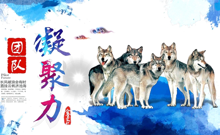 兵者拓展-卓越團(tuán)隊訓(xùn)練營